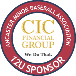 CIC Financial Group